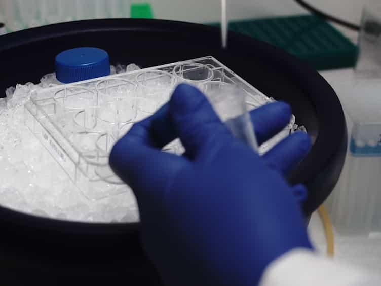 Generation of Scaffold-free, Three-dimensional Insulin Expressing Pancreatoids from Mouse Pancreatic Progenitors In Vitro