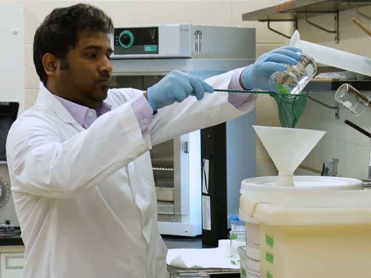 Quantifying Vibrio cholerae Colonization and Diarrhea in the Adult Zebrafish Model