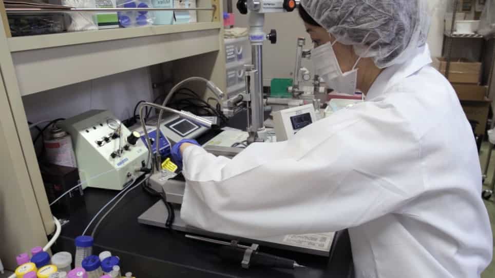 In Vivo Microdialysis Method to Collect Large Extracellular Proteins from Brain Interstitial Fluid with High-molecular Weight Cut-off Probes
