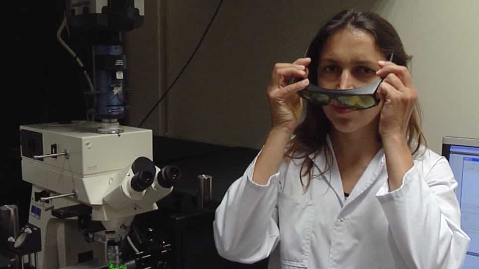 Probing Cell Mechanics with Bead-Free Optical Tweezers in the Drosophila Embryo