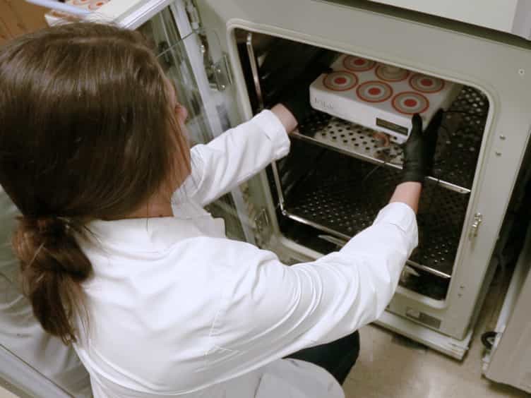 In Vivo Photolabeling of Cells in the Colon to Assess Migratory Potential of Hematopoietic Cells in Neonatal Mice