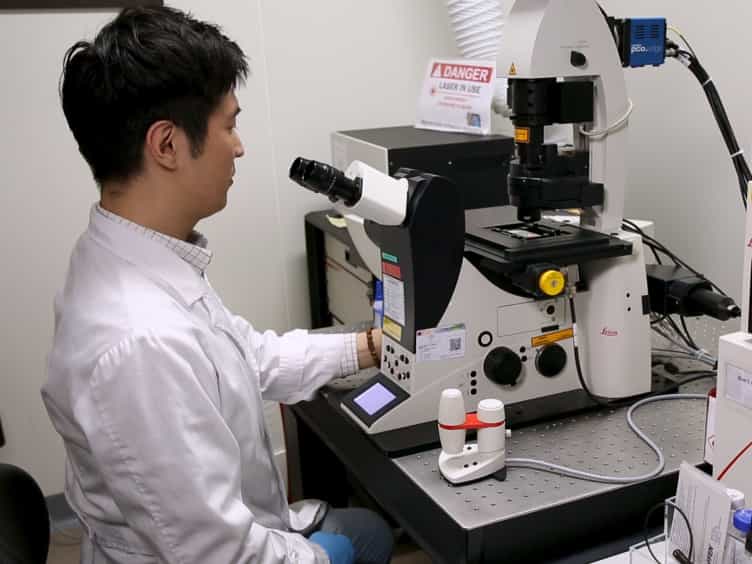 Spectral Reflectometric Microscopy on Myelinated Axons In Situ