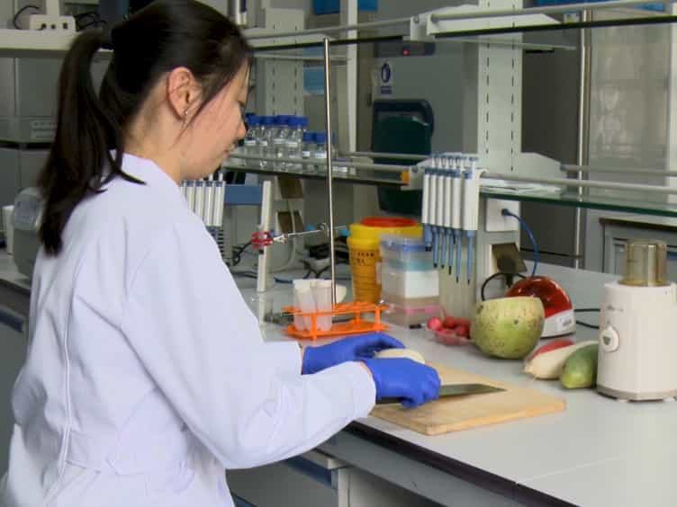 Analysis of N-glycans from Raphanus sativus Cultivars Using PNGase H+
