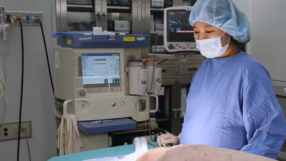 Porcine As a Training Module for Head and Neck Microvascular Reconstruction