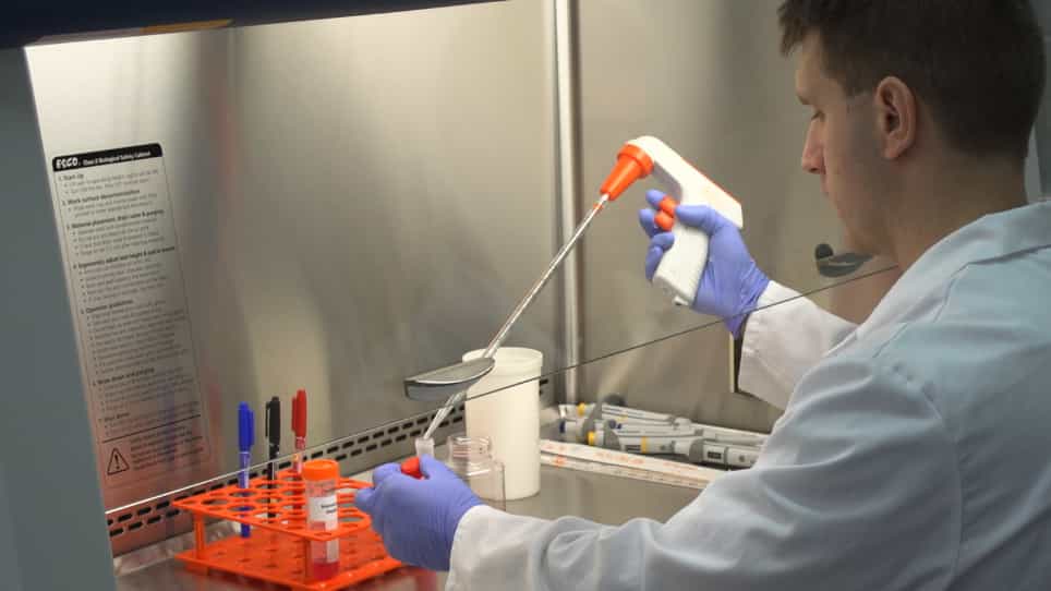 Neurogenesis Using P19 Embryonal Carcinoma Cells