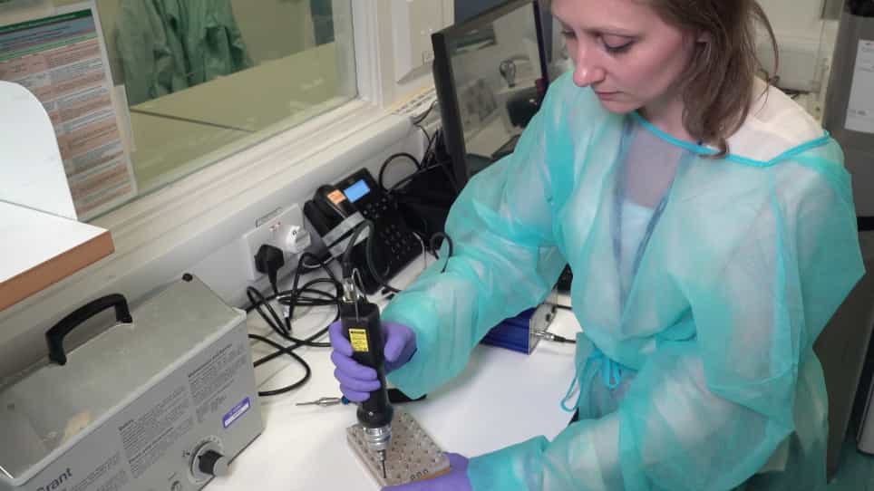 "Liver-on-a-Chip" Cultures of Primary Hepatocytes and Kupffer Cells for Hepatitis B Virus Infection