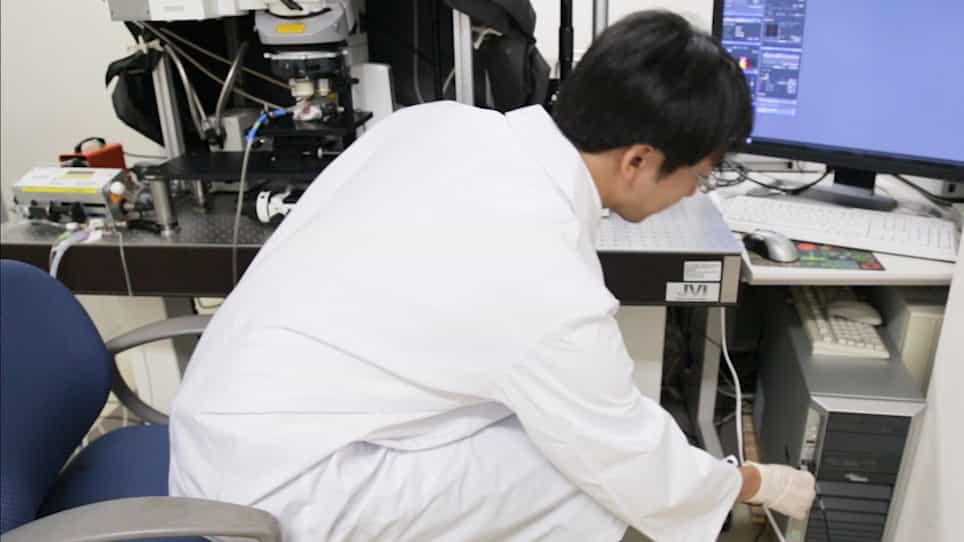 In Vivo Two-photon Imaging of Cortical Neurons in Neonatal Mice