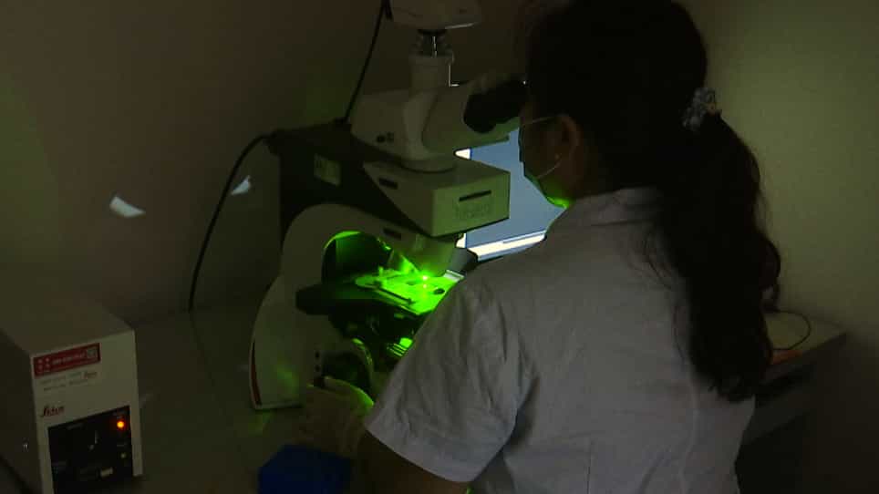 Sub-acute Cerebral Microhemorrhages Induced by Lipopolysaccharide Injection in Rats