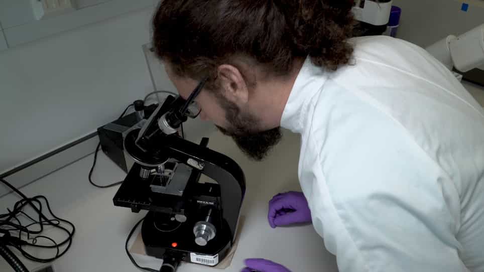 High-throughput Measurement of Dictyostelium discoideum Macropinocytosis by Flow Cytometry