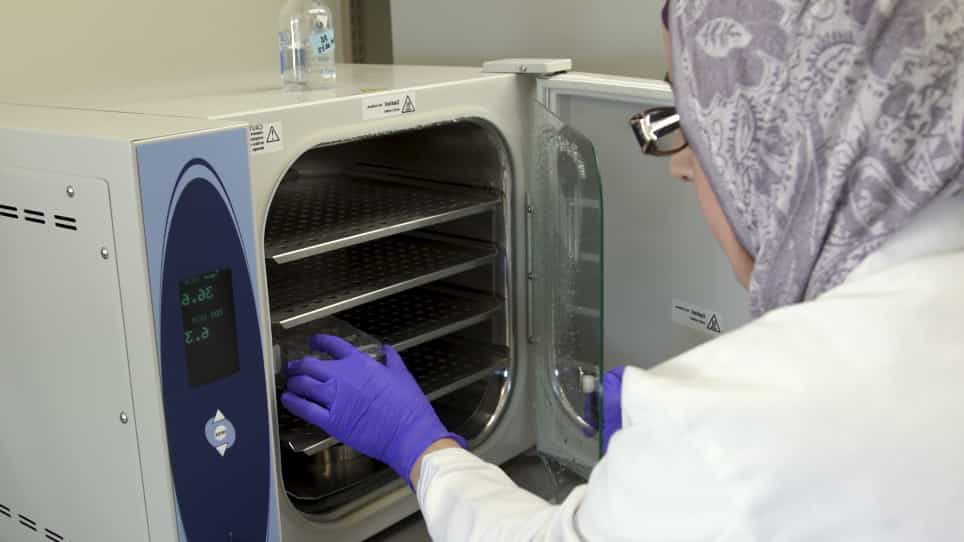 Use of Electron Paramagnetic Resonance in Biological Samples at Ambient Temperature and 77 K