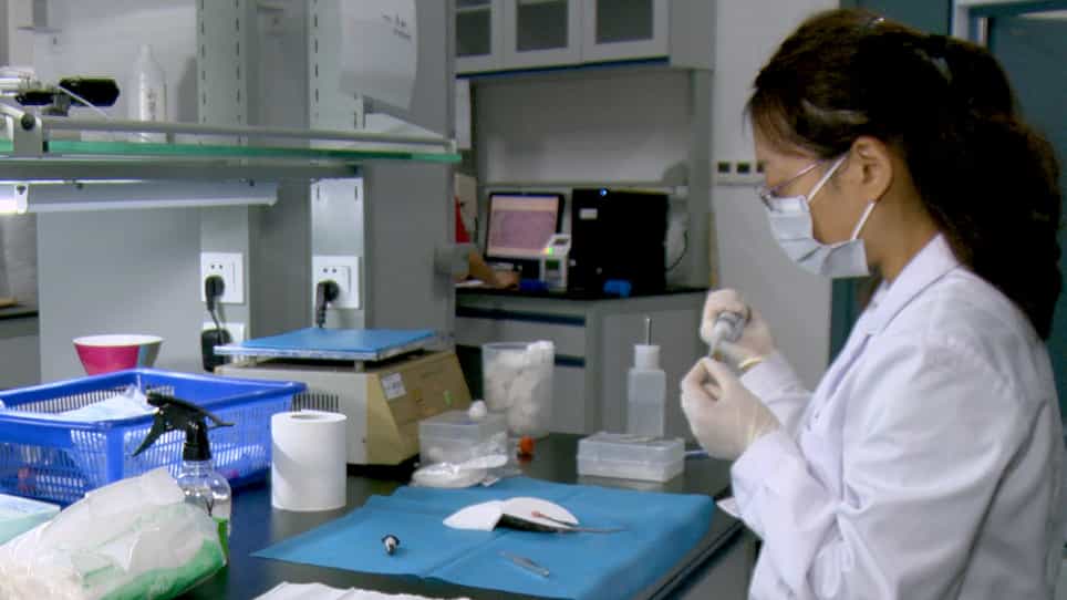 An In Vivo Method to Study Mouse Blood-Testis Barrier Integrity