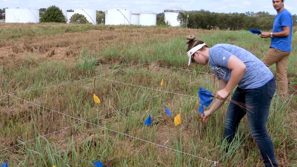 Sampling Soils in a Heterogeneous Research Plot