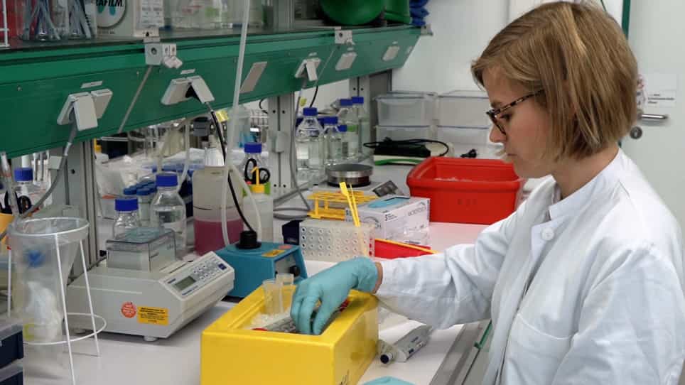 Isolation of Glomeruli and In Vivo Labeling of Glomerular Cell Surface Proteins