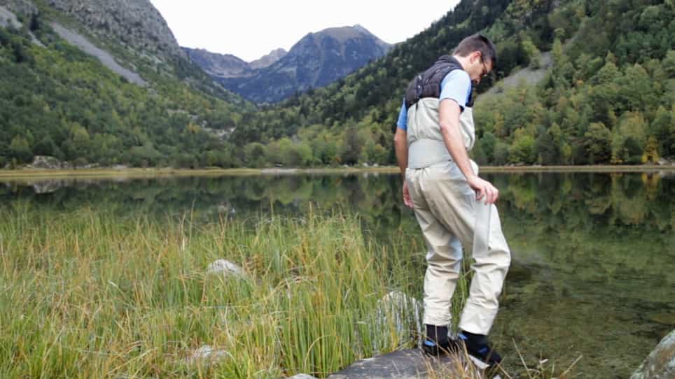 Estimating Sediment Denitrification Rates Using Cores and N2O Microsensors