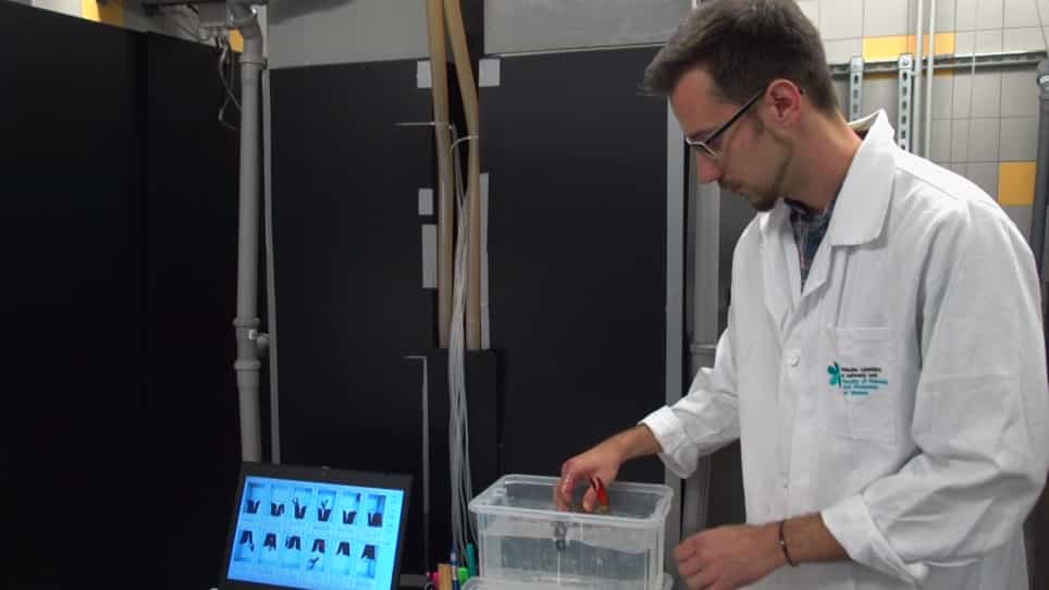 Continuous Noninvasive Measuring of Crayfish Cardiac and Behavioral Activities