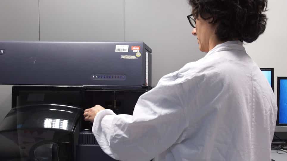 Cell-based Assay to Study Antibody-mediated Tau Clearance by Microglia