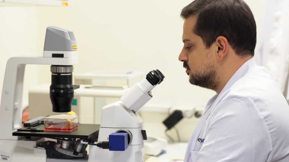Mesenchymal Stem Cell Isolation from Pulp Tissue and Co-Culture with Cancer Cells to Study Their Interactions