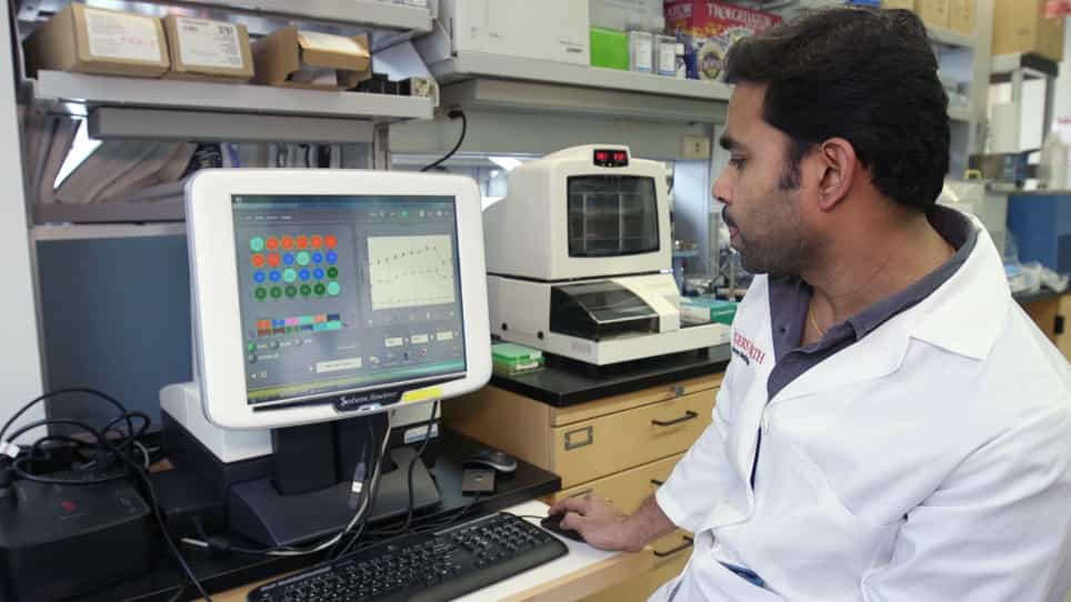 Bio-energetics Investigation of Candida albicans Using Real-time Extracellular Flux Analysis