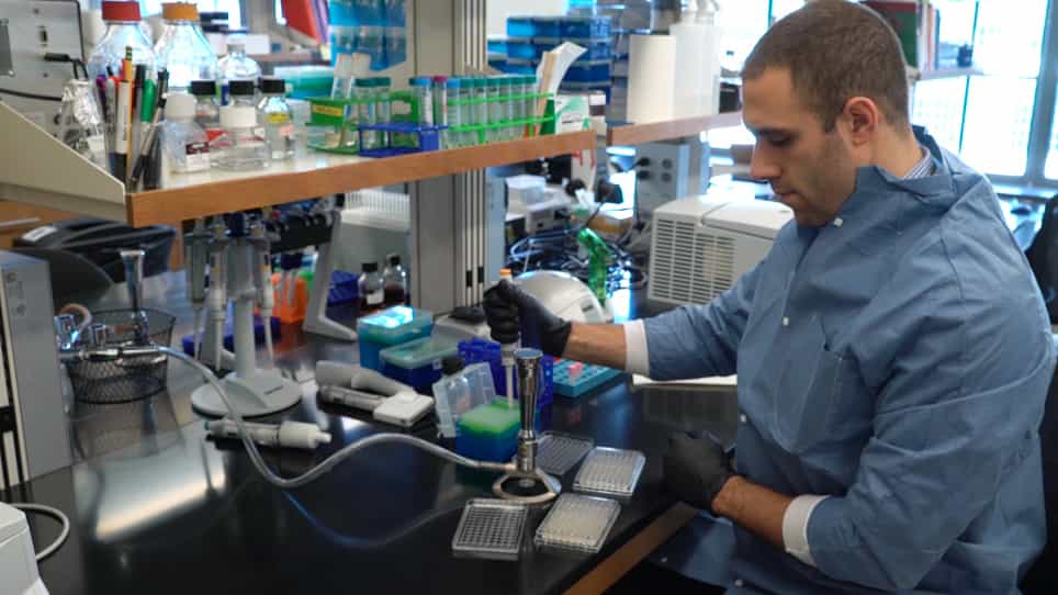 A Deep-sequencing-assisted, Spontaneous Suppressor Screen in the Fission Yeast Schizosaccharomyces pombe