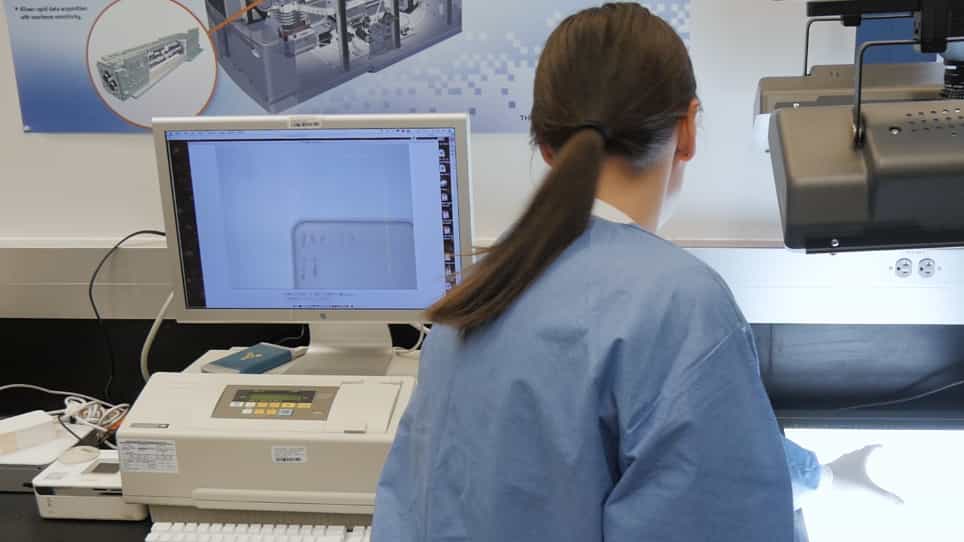 A High-throughput Shigella-specific Bactericidal Assay