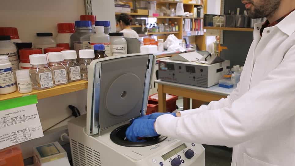 Rapid Lipid Droplet Isolation Protocol Using a Well-established Organelle Isolation Kit