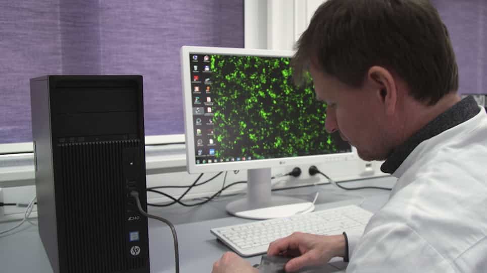 Sequencing of mRNA from Whole Blood using Nanopore Sequencing