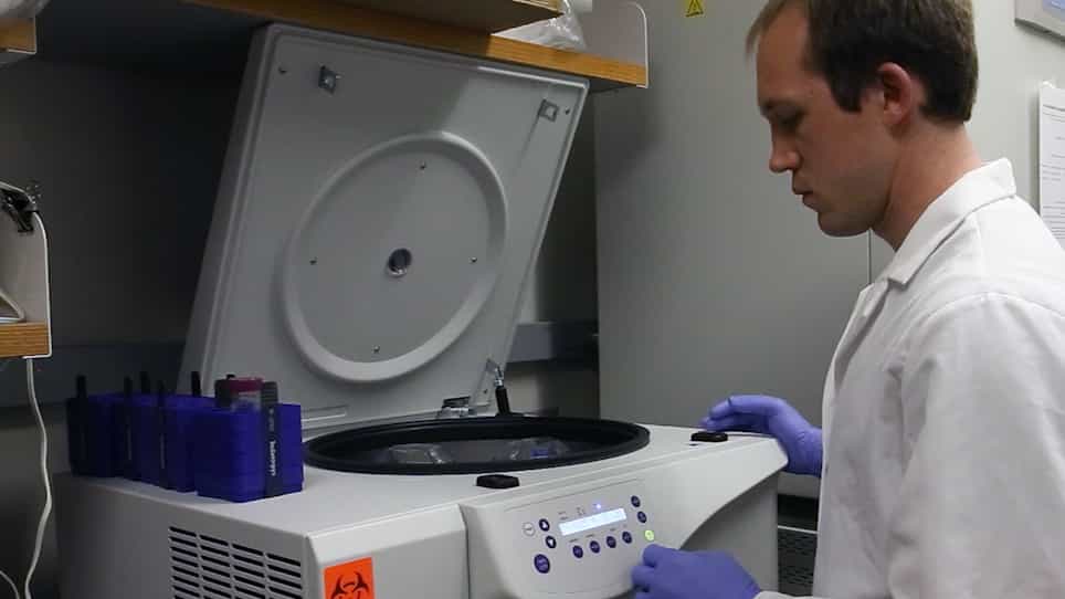 Rapid Generation of Primary Murine Melanocyte and Fibroblast Cultures