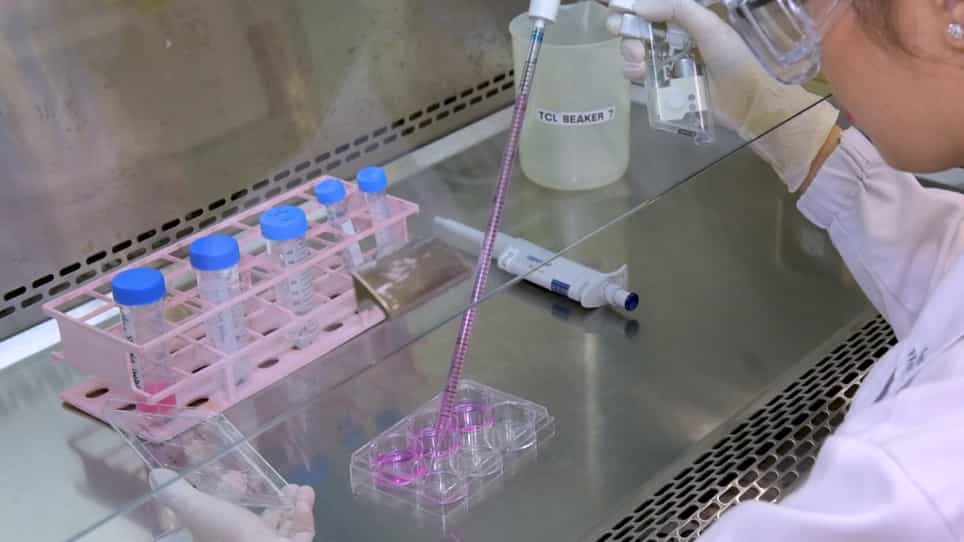 Toxicity Study of Zinc Oxide Nanoparticles in Cell Culture and in Drosophila melanogaster