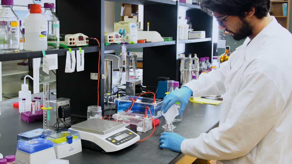 Genotyping of Sea Anemone during Early Development