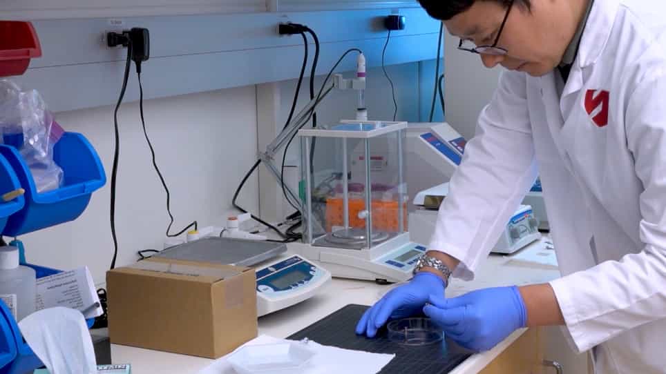A Microfluidic Platform for Stimulating Chondrocytes with Dynamic Compression