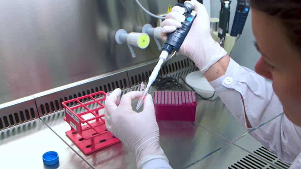 Human Neural Organoids for Studying Brain Cancer and Neurodegenerative Diseases