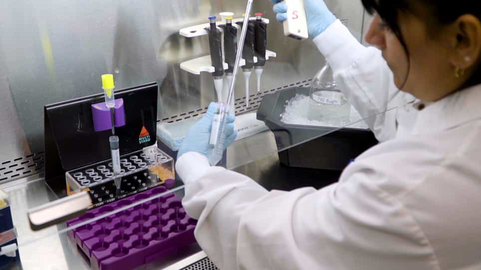 Pan-myeloid Differentiation of Human Cord Blood Derived CD34+ Hematopoietic Stem and Progenitor Cells