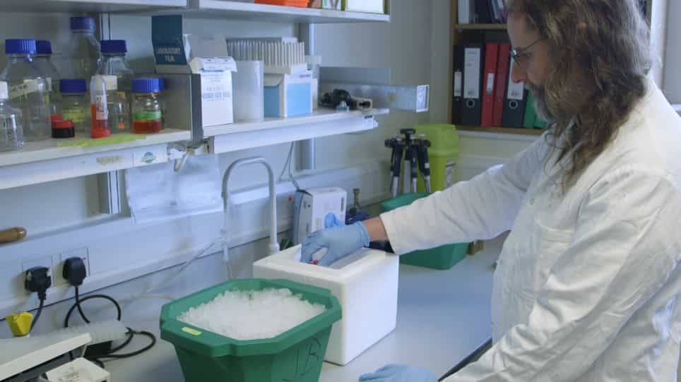 Tuning Degradation to Achieve Specific and Efficient Protein Depletion