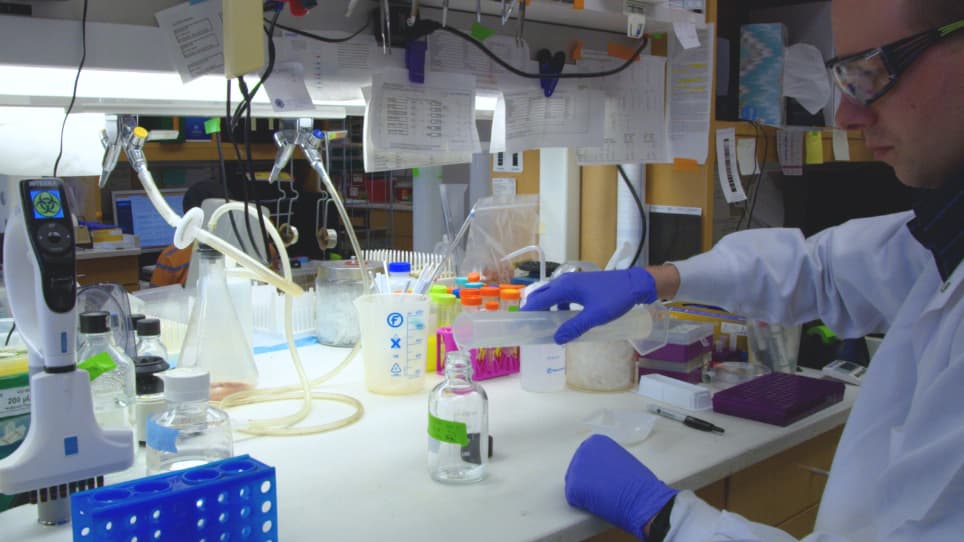 Measuring Relative Insulin Secretion using a Co-Secreted Luciferase Surrogate