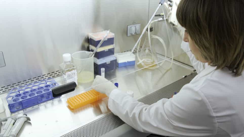 Isolation, Transfection, and Culture of Primary Human Monocytes