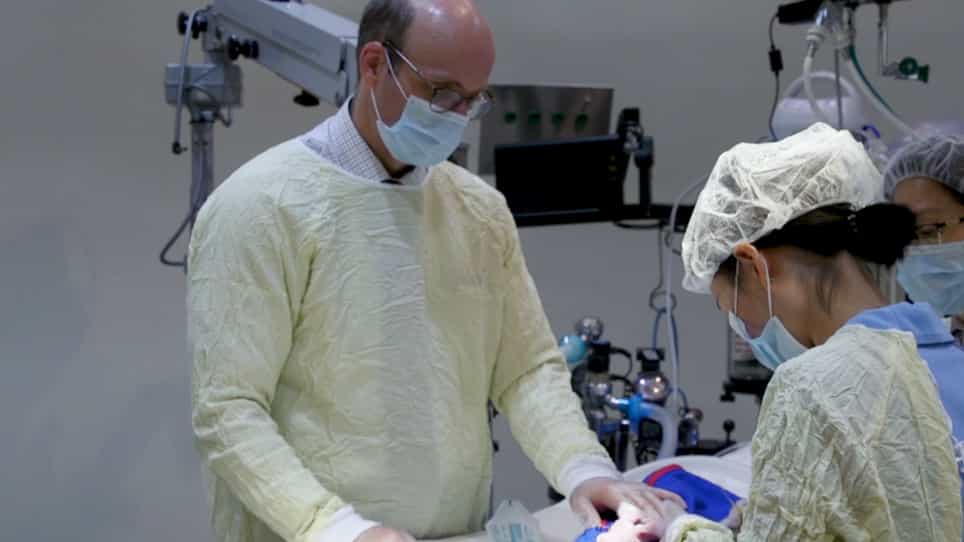 Establishment of a Severe Dry Eye Model Using Complete Dacryoadenectomy in Rabbits
