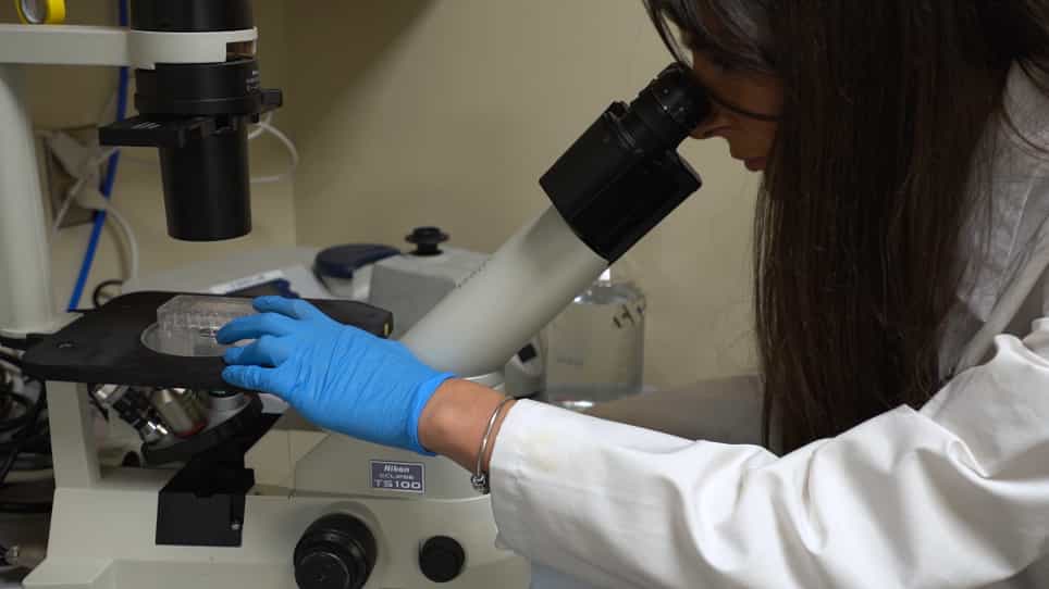 Analysis of Hematopoietic Stem Progenitor Cell Metabolism