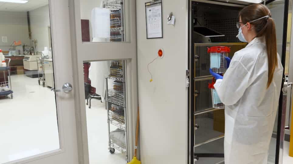 Culture Methods to Determine the Limit of Detection and Survival in Transport Media of Campylobacter Jejuni in Human Fecal Specimens