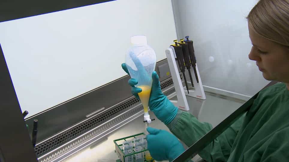 Isolation and Culture of Human Mature Adipocytes Using Membrane Mature Adipocyte Aggregate Cultures MAAC