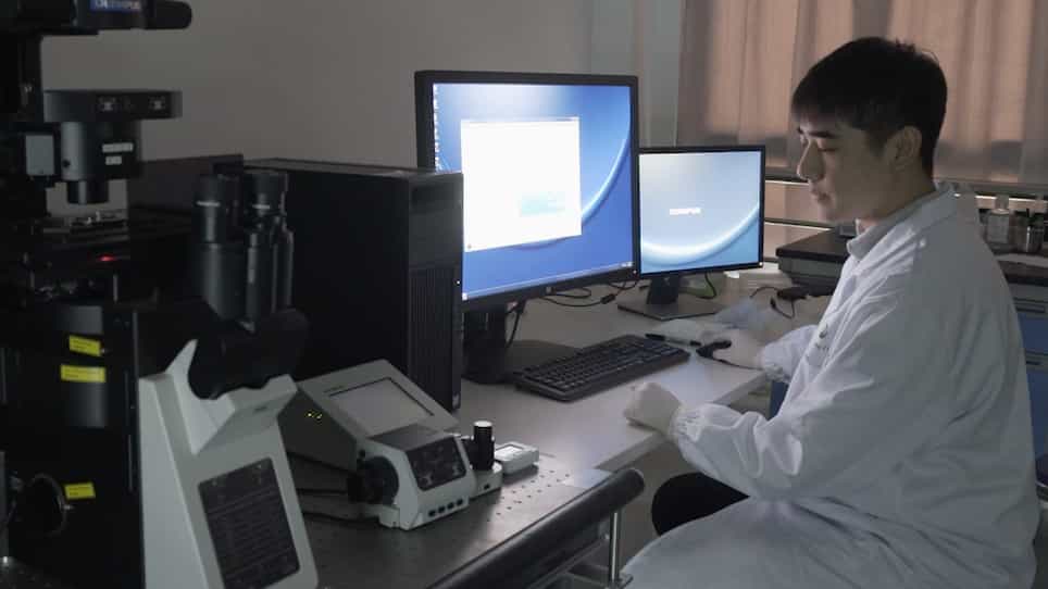 Protocols of 3D Bioprinting of Gelatin Methacryloyl Hydrogel Based Bioinks