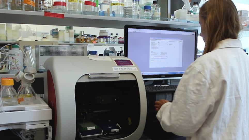 PeptiQuick, a One-Step Incorporation of Membrane Proteins into Biotinylated Peptidiscs for Streamlined Protein Binding Assays