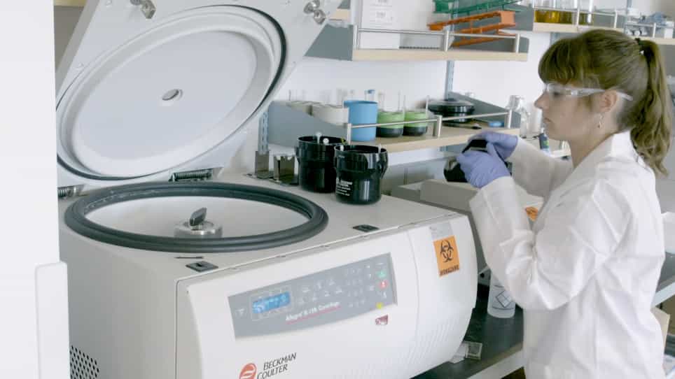 Quantifying the Cytotoxicity of Staphylococcus aureus Against Human Polymorphonuclear Leukocytes