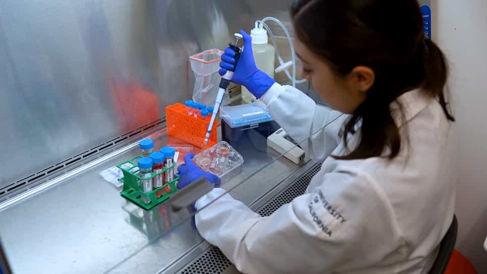 Generation of Mosaic Mammary Organoids by Differential Trypsinization