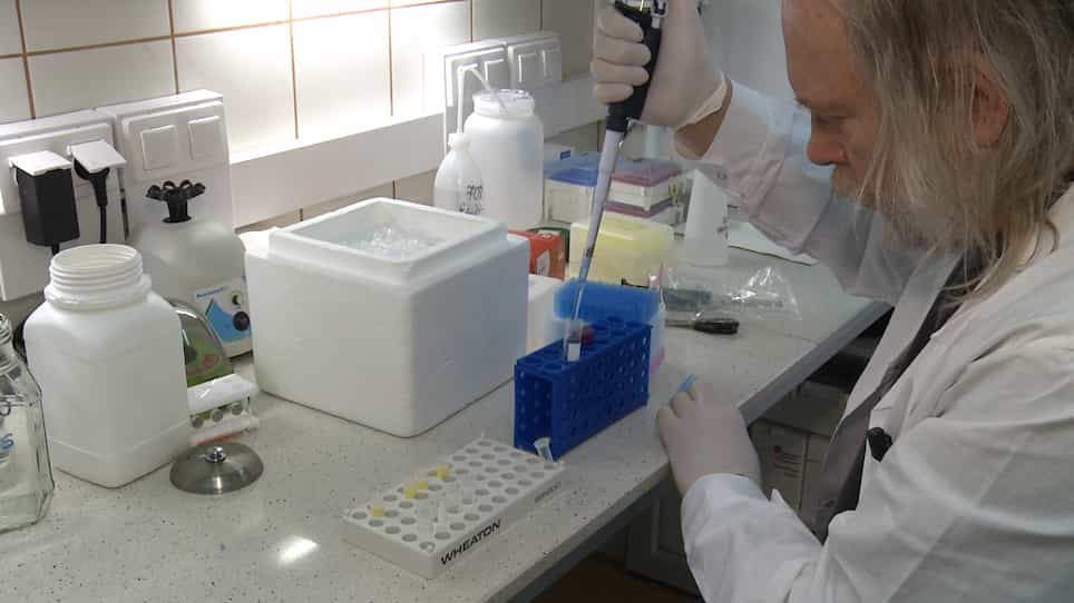 In Vitro Directed Evolution of a Restriction Endonuclease with More Stringent Specificity