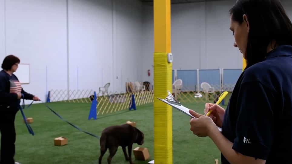 Controlled Odor Mimic Permeation Systems for Olfactory Training and Field Testing