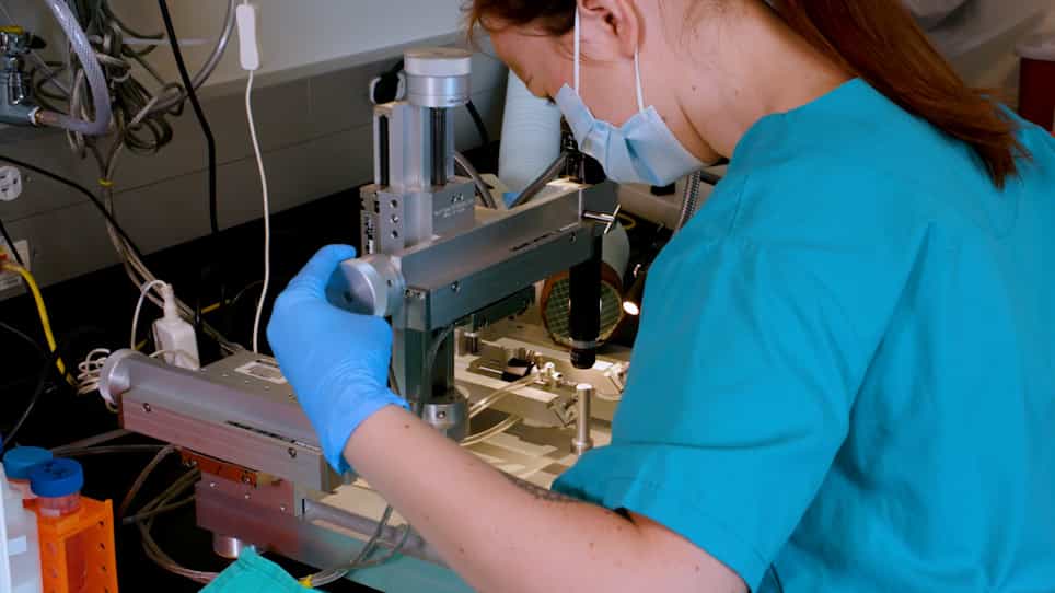 Adaptable Angled Stereotactic Approach for Versatile Neuroscience Techniques