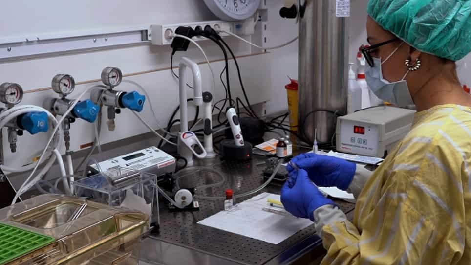 Induction of Leptomeningeal Cells Modification Via Intracisternal Injection