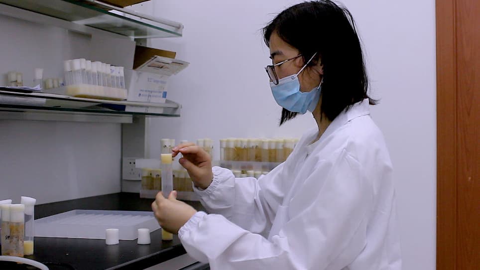 Measuring Crop Motility and Food Passaging in Drosophila