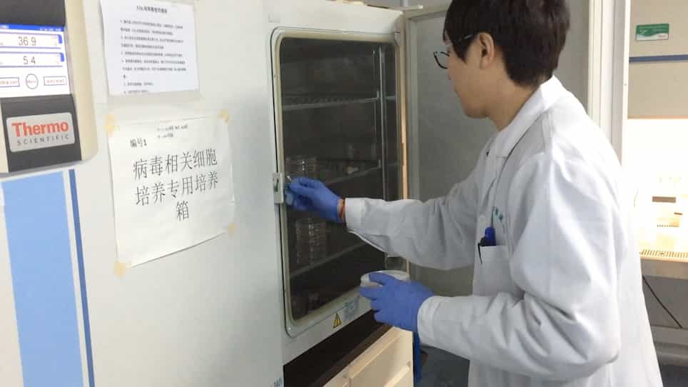 Y-27632 Enriches the Yield of Human Melanocytes from Adult Skin Tissues