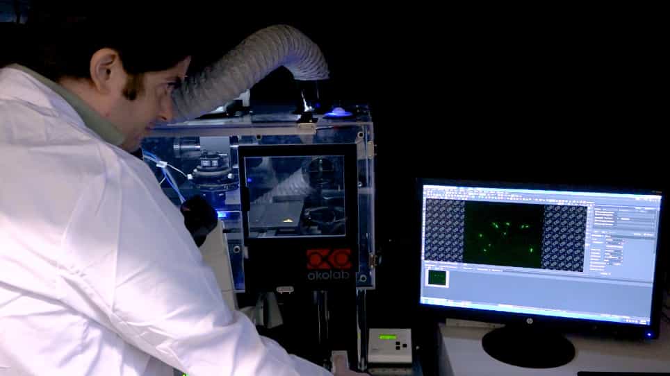 Continuous Measurement of Biological Noise in Escherichia Coli Using Time-lapse Microscopy